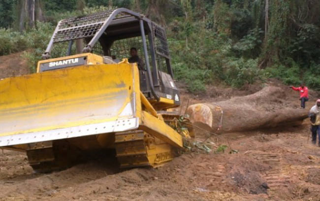 凯时K66官网 - 凯时优质运营商首页