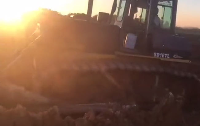 1ef9ce722b3f42948de01bc03f38591b